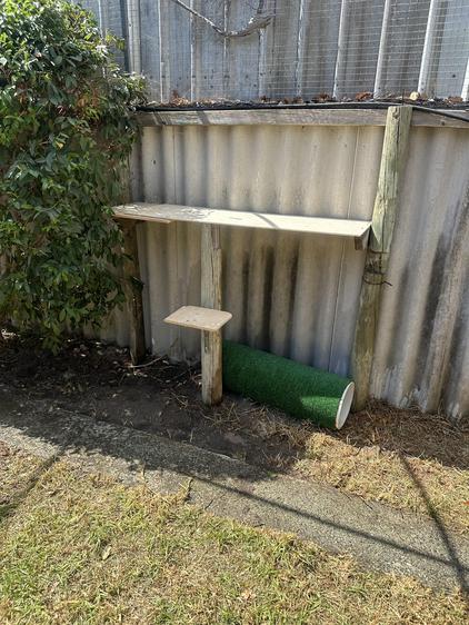 Cat tunnels and climbing posts