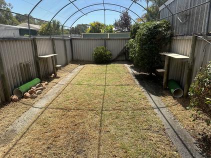 Fully enclosed Jungle